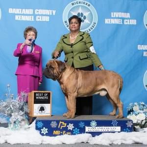 Meet your Posher, Tracey